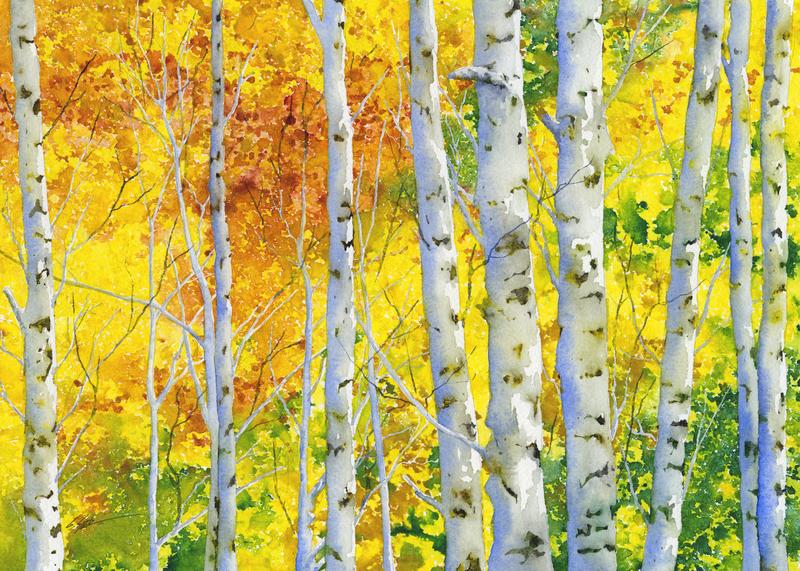 Autumn Aspens